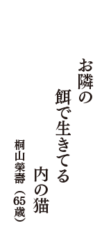 お隣の　餌で生きてる　内の猫　（桐山榮壽　65歳）