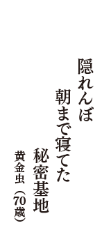 隠れんぼ　朝まで寝てた　秘密基地　（黄金虫　70歳）