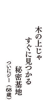 木の上じゃ　すぐに見つかる　秘密基地　（ついにジー　68歳）