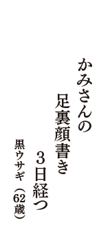 かみさんの　足裏顔書き　３日経つ　（黒ウサギ　62歳）