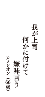 我が上司　何かに付けて　嫌味言う　（カメレオン　66歳）