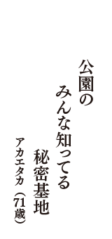 公園の　みんな知ってる　秘密基地　（アカエタカ　71歳）