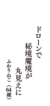 ドローンで　秘境魔境が　丸見えに　（ふわりねこ　64歳）