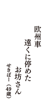 欧州車　遠くに停めた　お坊さん　（せきぼー　49歳）