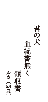 君の犬　血統書無く　領収書　（ルカ　58歳）