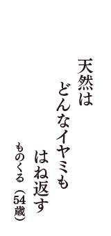 天然は　どんなイヤミも　はね返す　（ものくる　54歳）