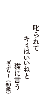 叱られて　キミはいいねと　猫に言う　（ぽぷらー　60歳）