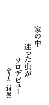 家の中　迷った虫が　ソロデビュー　（ゆうと　14歳）