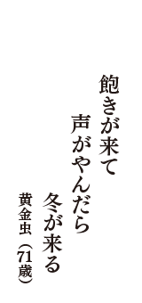 飽きが来て　声がやんだら　冬が来る　（黄金虫　71歳）