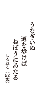 うなぎいぬ　道を歩けば　ねぼうにあたる　（しろねこ　52歳）