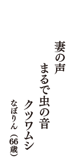 妻の声　まるで虫の音　クツワムシ　（なぼりん　66歳）