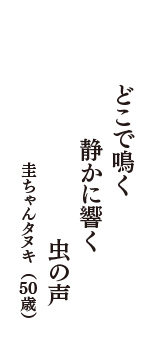 どこで鳴く　静かに響く　虫の声　（圭ちゃんタヌキ　50歳）