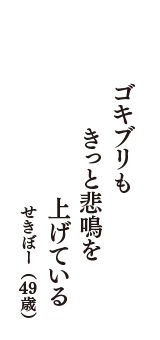 ゴキブリも　きっと悲鳴を　上げている　（せきぼー　49歳）