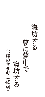 寝坊する　夢に夢中で　寝坊する　（土曜のウサギ　45歳）