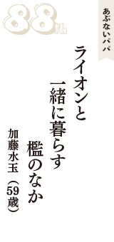 あぶないパパ「ライオンと　一緒に暮らす　檻のなか」（加藤水玉　59歳）