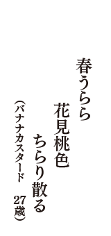 春うらら　花見桃色　ちらり散る　（バナナカスタード　27歳）