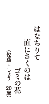 はなちりて　直にさくのは　ゴミの花　（佐藤＋しょう　20歳）