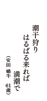 潮干狩りはるばる来れば満潮で　（安田 蝸牛　61歳）