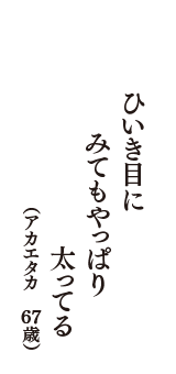 ひいき目にみてもやっぱり太ってる　（アカエタカ　67歳）