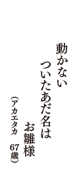 動かないついたあだ名はお雛様　（アカエタカ　67歳）