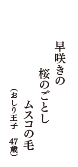 早咲きの　桜のごとし　ムスコの毛　（おしり王子　47歳）