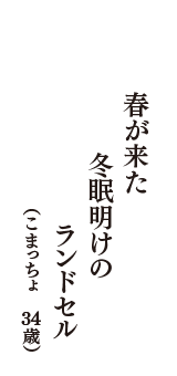 春が来た　冬眠明けの　ランドセル　（こまっちょ　34歳）