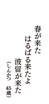 春が来た　はるばる来たよ　波留が来た　（しんかつ　45歳）