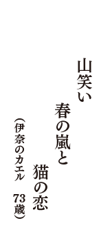 山笑い　春の嵐と　猫の恋　（伊奈のカエル　73歳）