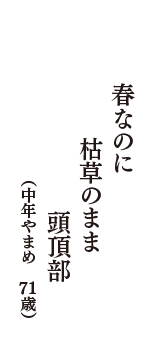 春なのに　枯草のまま　頭頂部　　（中年やまめ　71歳）