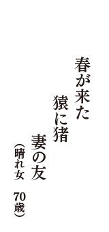 春が来た　猿に猪　妻の友　（晴れ女　70歳）