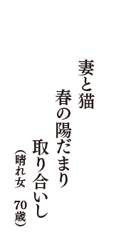 妻と猫　春の陽だまり　取り合いし　（晴れ女　70歳）