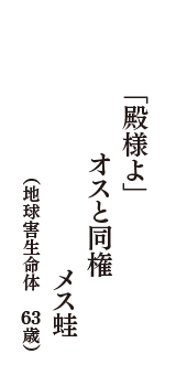 「殿様よ」　オスと同権　メス蛙　（地球害生命体　63歳）