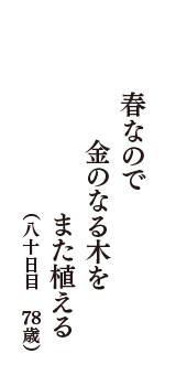 春なので　金のなる木を　また植える　（八十日目　78歳）