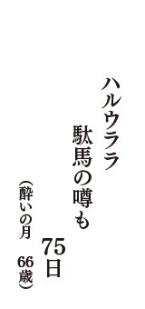 ハルウララ　駄馬の噂も　７５日　（酔いの月　66歳）