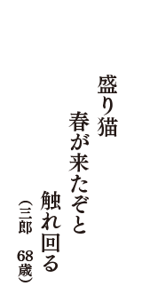 盛り猫　春が来たぞと　触れ回る　（三郎　68歳）