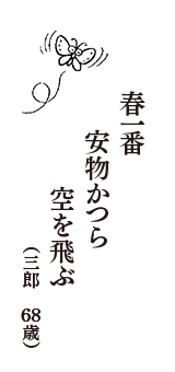 春一番　安物かつら　空を飛ぶ　（三郎　68歳）