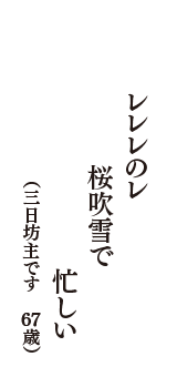 レレレのレ　桜吹雪で　忙しい　（三日坊主です　67歳）