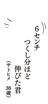 ６センチ　つくし分ほど　伸びた君　（サトヒメ　36歳）