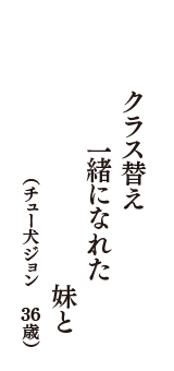 クラス替え　一緒になれた　妹と　（チュー犬ジョン　36歳）