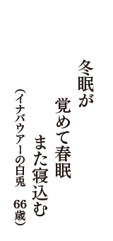 冬眠が覚めて春眠また寝込む　（イナバウアーの白兎　66歳）