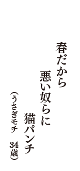 春だから　悪い奴らに　猫パンチ　（うさぎモチ　34歳）