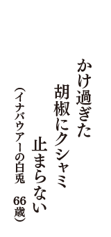 かけ過ぎた胡椒にクシャミ止まらない　（イナバウアーの白兎　66歳）