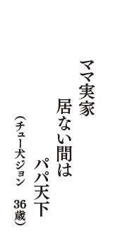 ママ実家　居ない間は　パパ天下　（チュー犬ジョン　36歳）