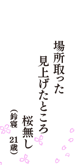 場所取った　見上げたところ　桜無し　（鈴寝　21歳）