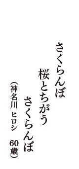 さくらんぼ　桜とちがう　さくらんぼ　（神名川 ヒロシ　60歳）