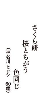 さくら餅　桜とちがう　色同じ　（神名川 ヒロシ　60歳）