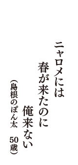 ニャロメには　春が来たのに　俺来ない　（島根のぽん太　50歳）