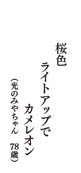 桜色　ライトアップで　カメレオン　（光のみやちゃん　78歳）