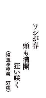 ワシが春　頭も満開　狂い咲く　　　（漫遊亭極楽　57歳）
