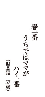 春一番　うちではママが　ハイ一番　（財星猫　57歳）